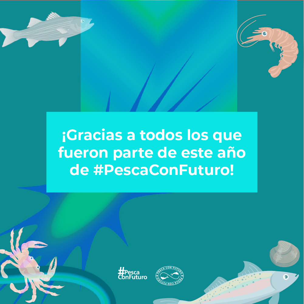 pescaconfuturo's tweet photo. y terminamos el #wrapped2023 con uno de nuestros proyectos más destacables del año: La Creación del Colectivo de Chefs de Baja California Sur por la Sostenibilidad Pesquera y Acuícola. https://t.co/w3G3TUu7pS