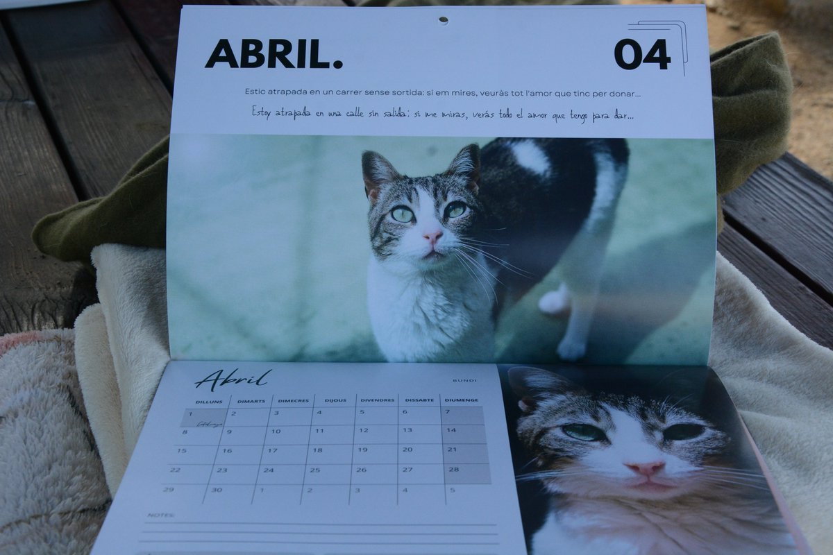 JA TENIU EL CALENDARI DE LA SPAM 2024??
Aquest any va dedicat a tots aquells animals que viuen en els nostres Refugis, des de fa molts anys   El seu cost es de 10€
El podreu trobar a la "Botigueta" del Refugi de Cal Pilé Mataró, dissabtes i diumenges als matins.