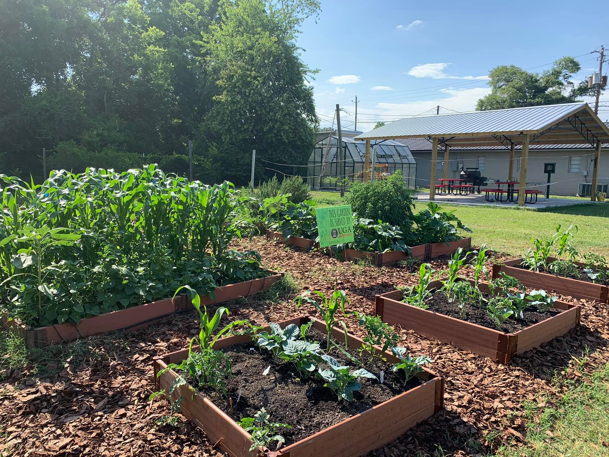 💪🍏 We are excited about the opportunity to enhance access to healthy foods and physical activity in Georgia counties grappling with high obesity rates, thanks to a new grant from the @CDCgov. Read more here: news.uga.edu/uga-receives-m… -- @universityofga