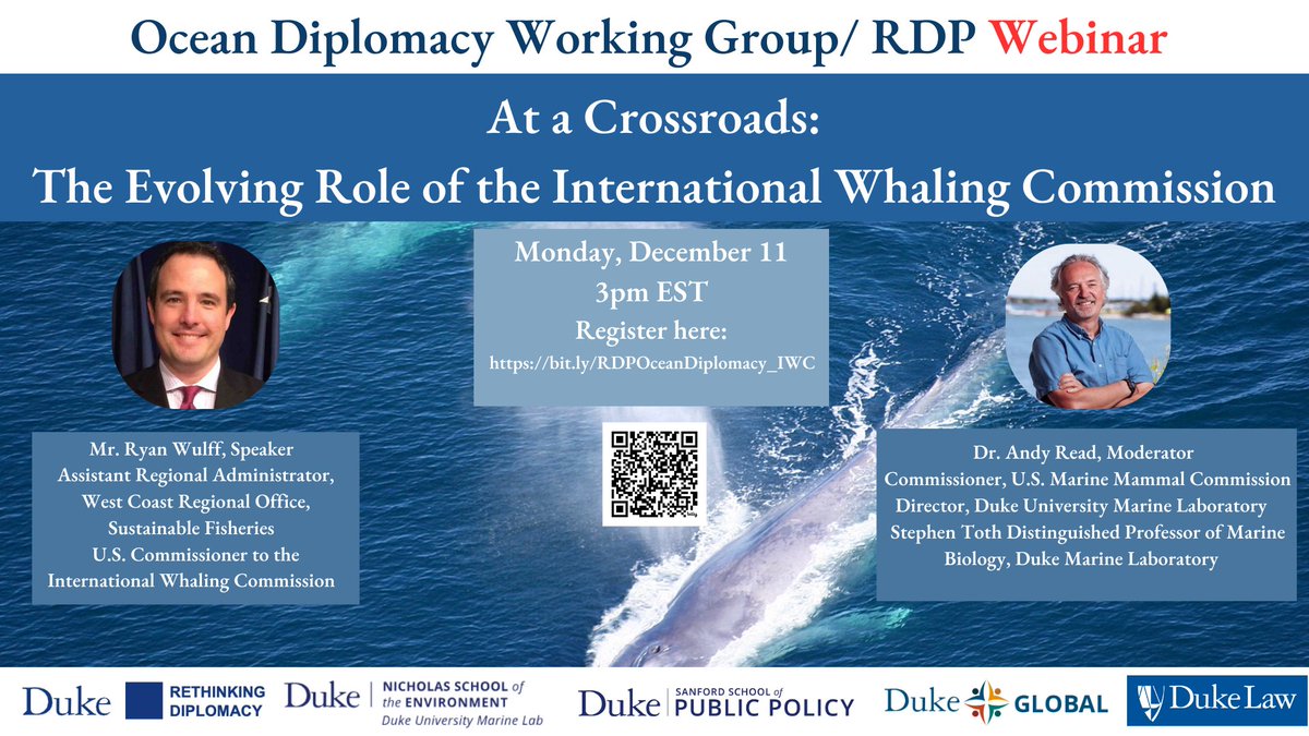 Rethinking Diplomacy tweet media