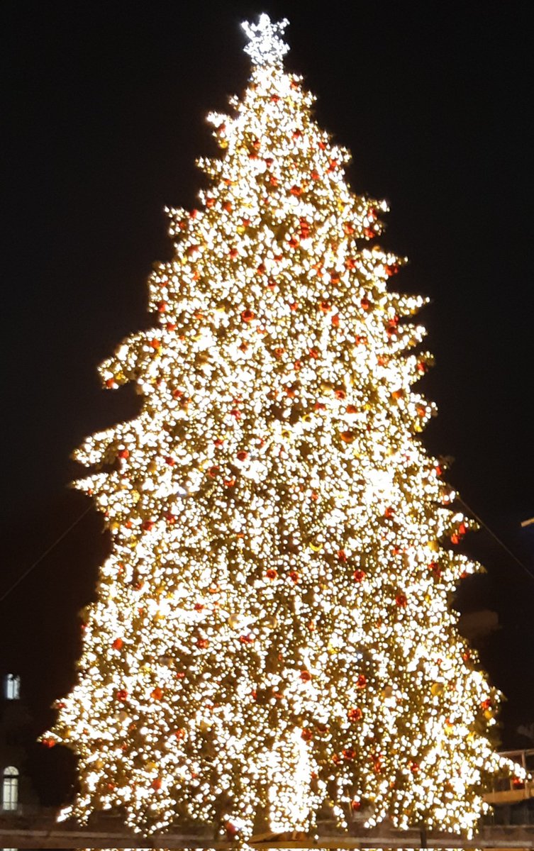 8 dicembre 🥀🕯
Piazza del Popolo, Roma
📷 mia