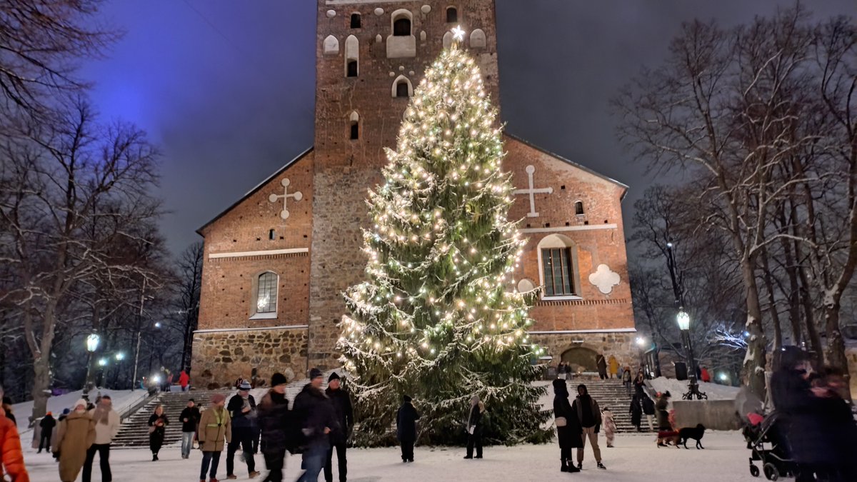 DailyTurku's tweet photo. Christmas Tree by the Turku Cathedral. This year it's a bit curved.
#Turku #Åbo #Suomi #Finland https://t.co/9mGjMbwJnC