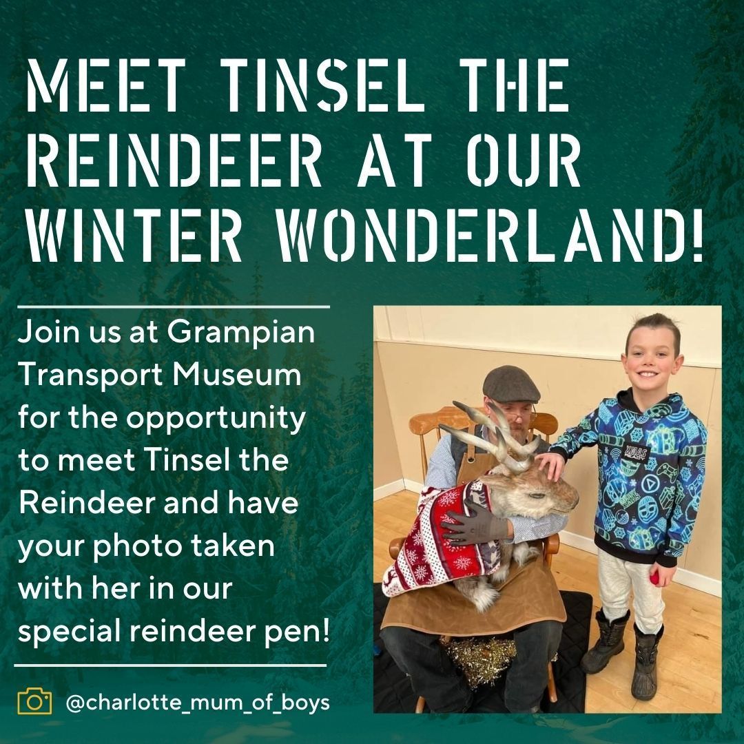 🎅✨ Visit Santa at Grampian Transport Museum and meet Tinsel the reindeer! 🦌❄️ 

⏰ We are open 10am-3pm Saturday and Sunday, and we have ✨limited spaces✨ available for walk-ins to Visit Santa!

Find out more here: 🔗 buff.ly/3NPQyg6