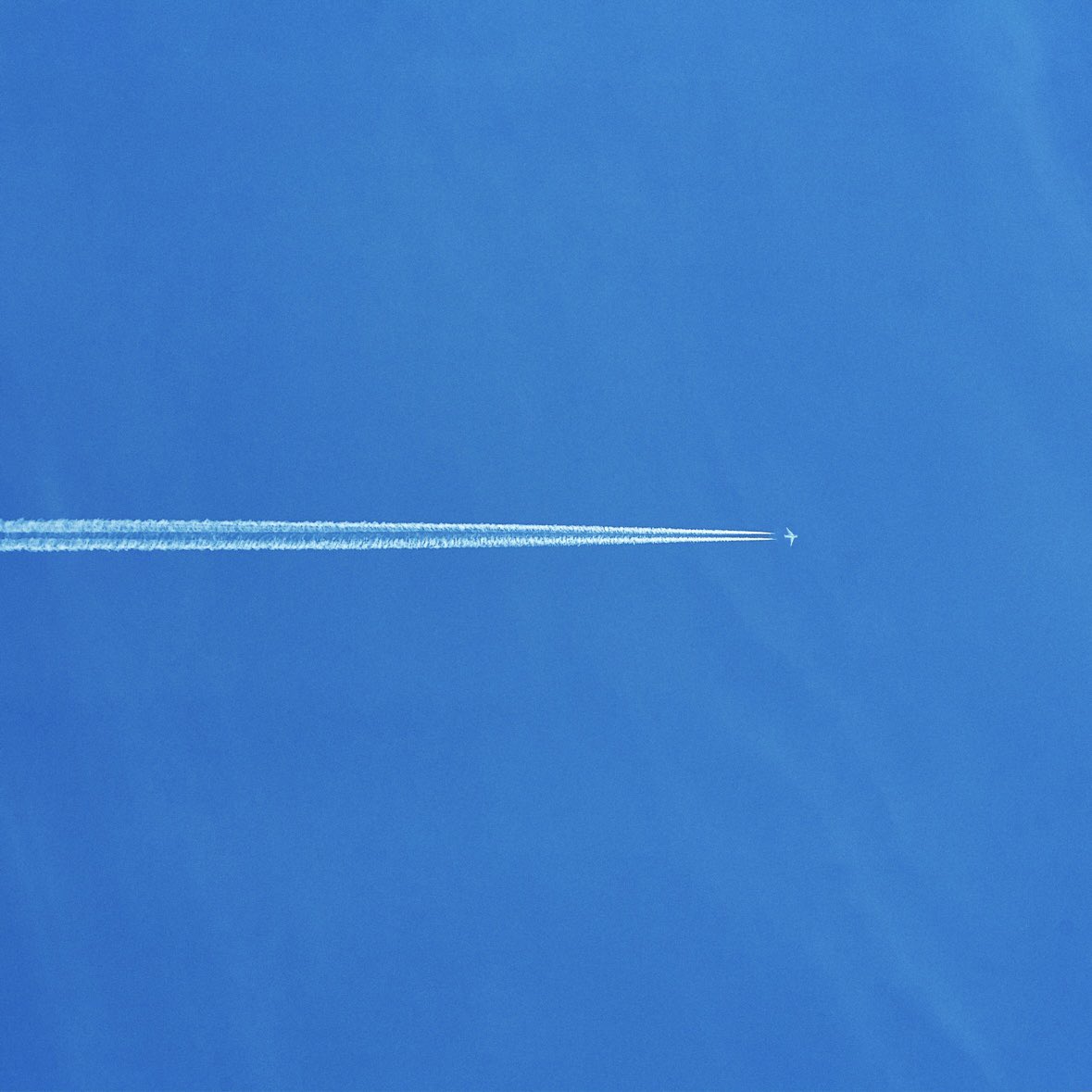 SOMETHING IN THE WATER tweet media