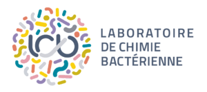 CongresMicrobio's tweet photo. Thanks again to the IM2B, IMM, CNRS and LCB without who this congress wouldn't have been possible to make. https://t.co/YhIi3QstJ7