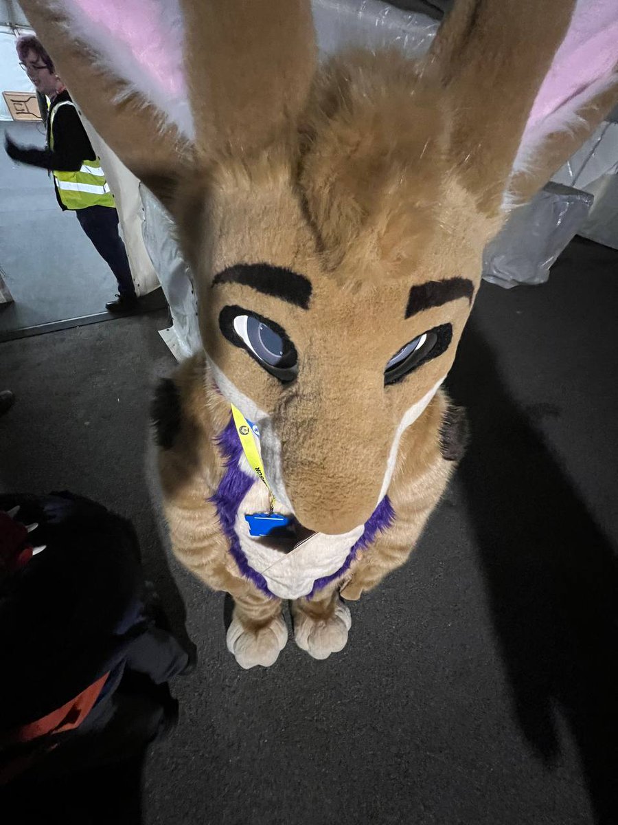 Hello there...

#FursuitFriday