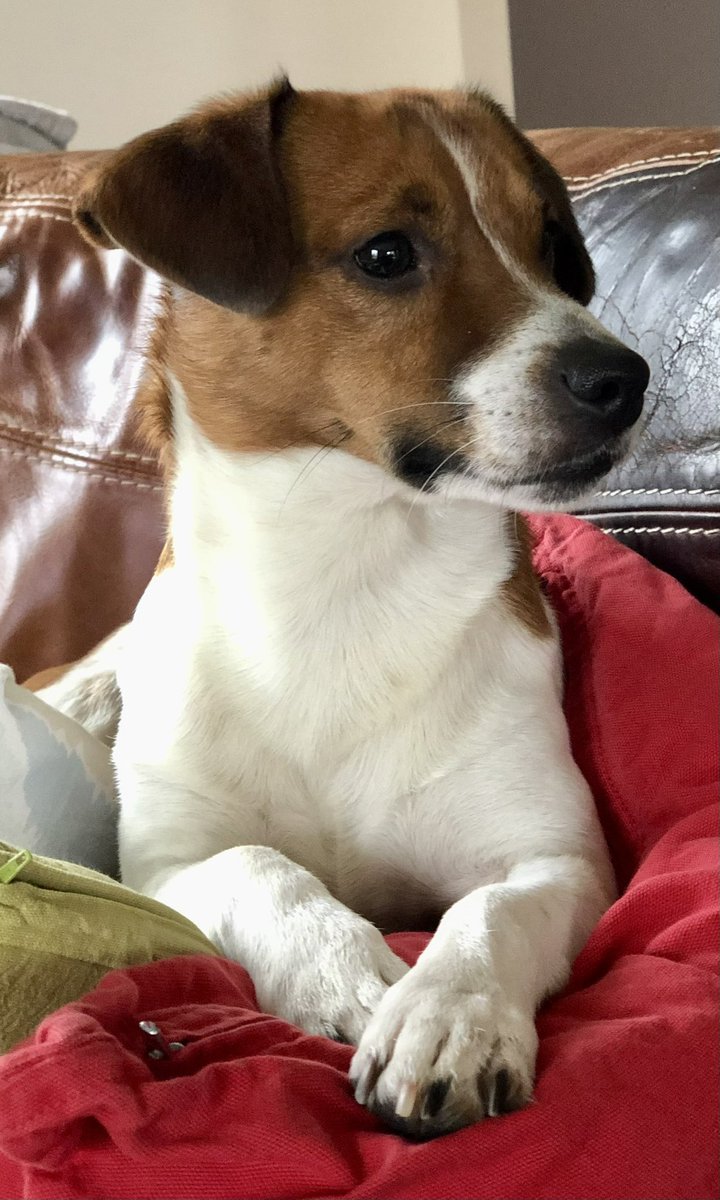 Ilse Heerman tweet media