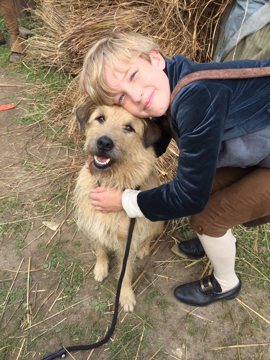 Harry Marcus tweet media