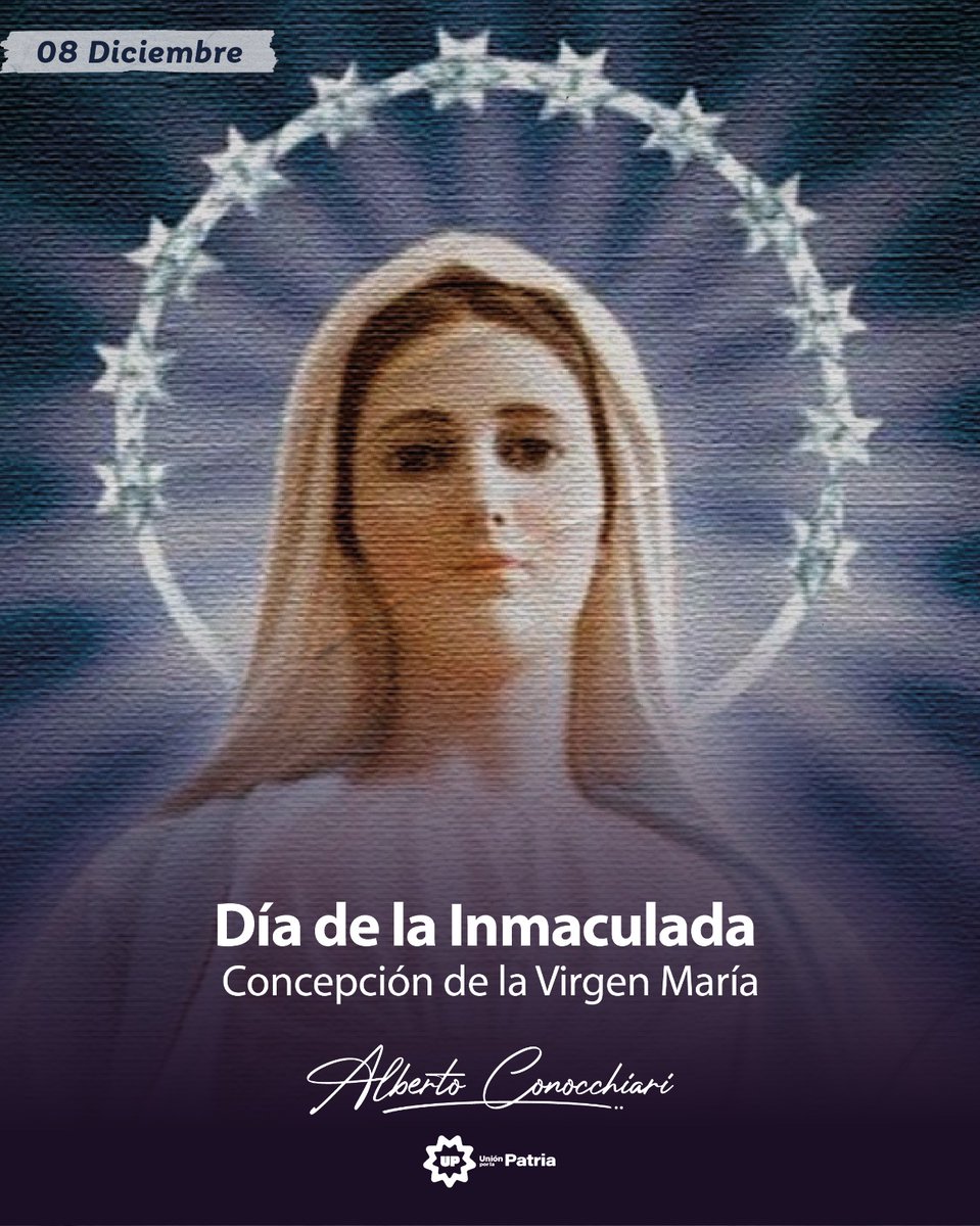 Alberto Conocchiari tweet media