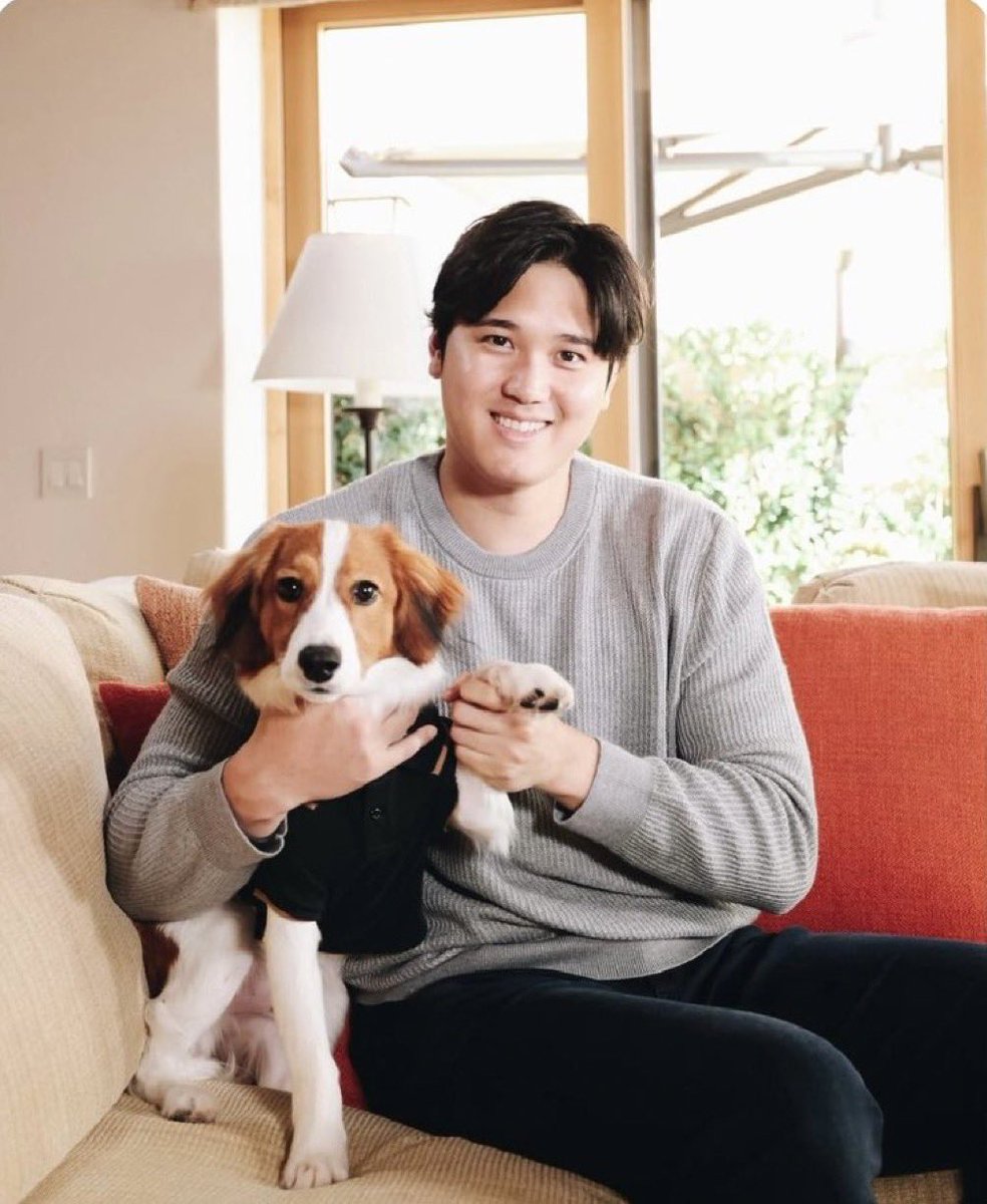 BairdKelez's tweet photo. SOURCE: Vet in Newport Beach leaked the files on Shohei Ohtani's dog BUSTER! Looks like he’s a giant! https://t.co/DmXjUxQsal