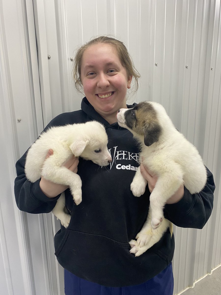 SchrockMorgan's tweet photo. Our devoted shelter manager, Gabby, dedicated hours and hours of her personal time to nurse these puppies back to health. They found their forever home today. 😍❤️ https://t.co/hxMc1JX8nu