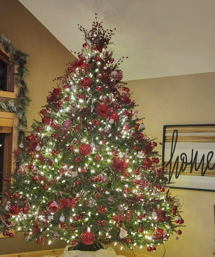 VWAdvisors's tweet photo. Happy National Christmas Tree Day! 🌲

Can you guess which VWA employees these belong to?

#NationalChristmasTreeDay https://t.co/FmYZhJ2bpg