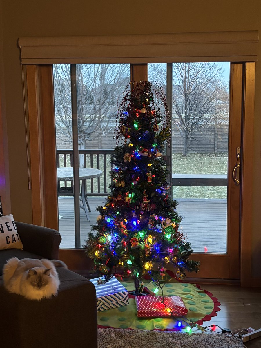 VWAdvisors's tweet photo. Happy National Christmas Tree Day! 🌲

Can you guess which VWA employees these belong to?

#NationalChristmasTreeDay https://t.co/FmYZhJ2bpg