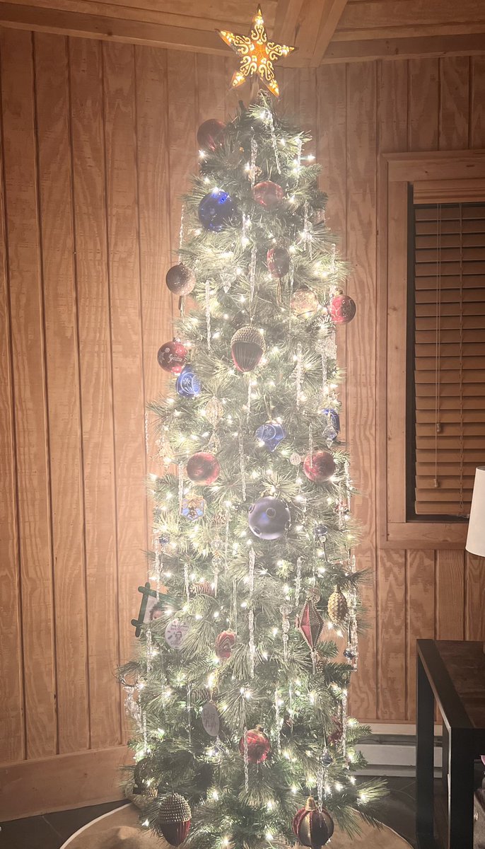 VWAdvisors's tweet photo. Happy National Christmas Tree Day! 🌲

Can you guess which VWA employees these belong to?

#NationalChristmasTreeDay https://t.co/FmYZhJ2bpg