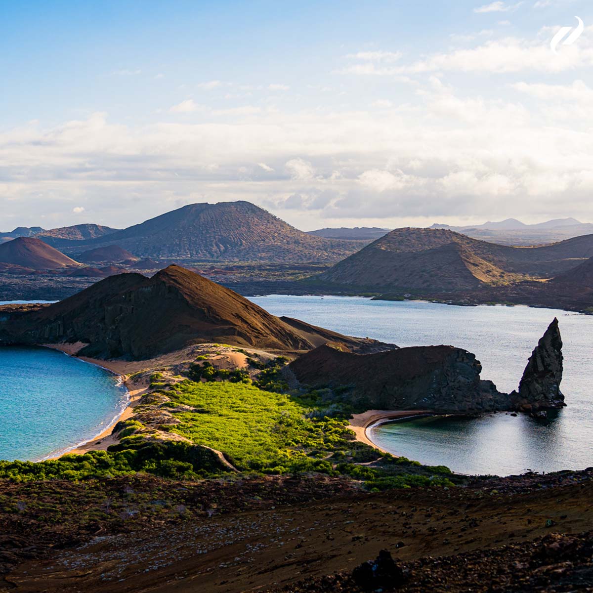 🌞 Wondering when to explore the enchanting Galapagos Islands? 🐢 The answer lies in your travel goals and flexibility! While the islands are a fantastic year-round destination, timing matters.

📖 Dive into our latest blog for a deeper look: bit.ly/489rMAL