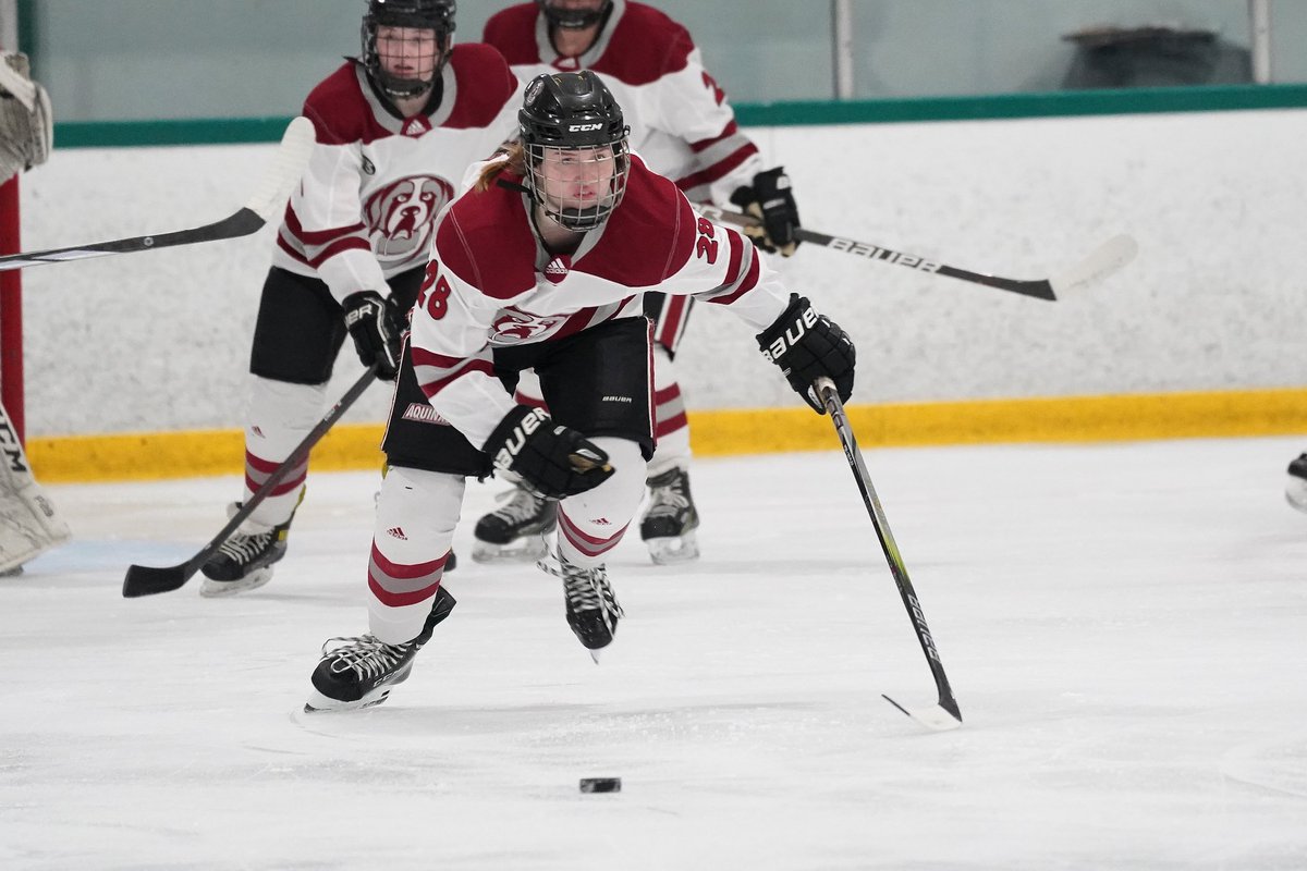 AquinasCollege's tweet photo. Week in Pictures: December 8, 2023 #AQSaints https://t.co/f6upSHl0Vq