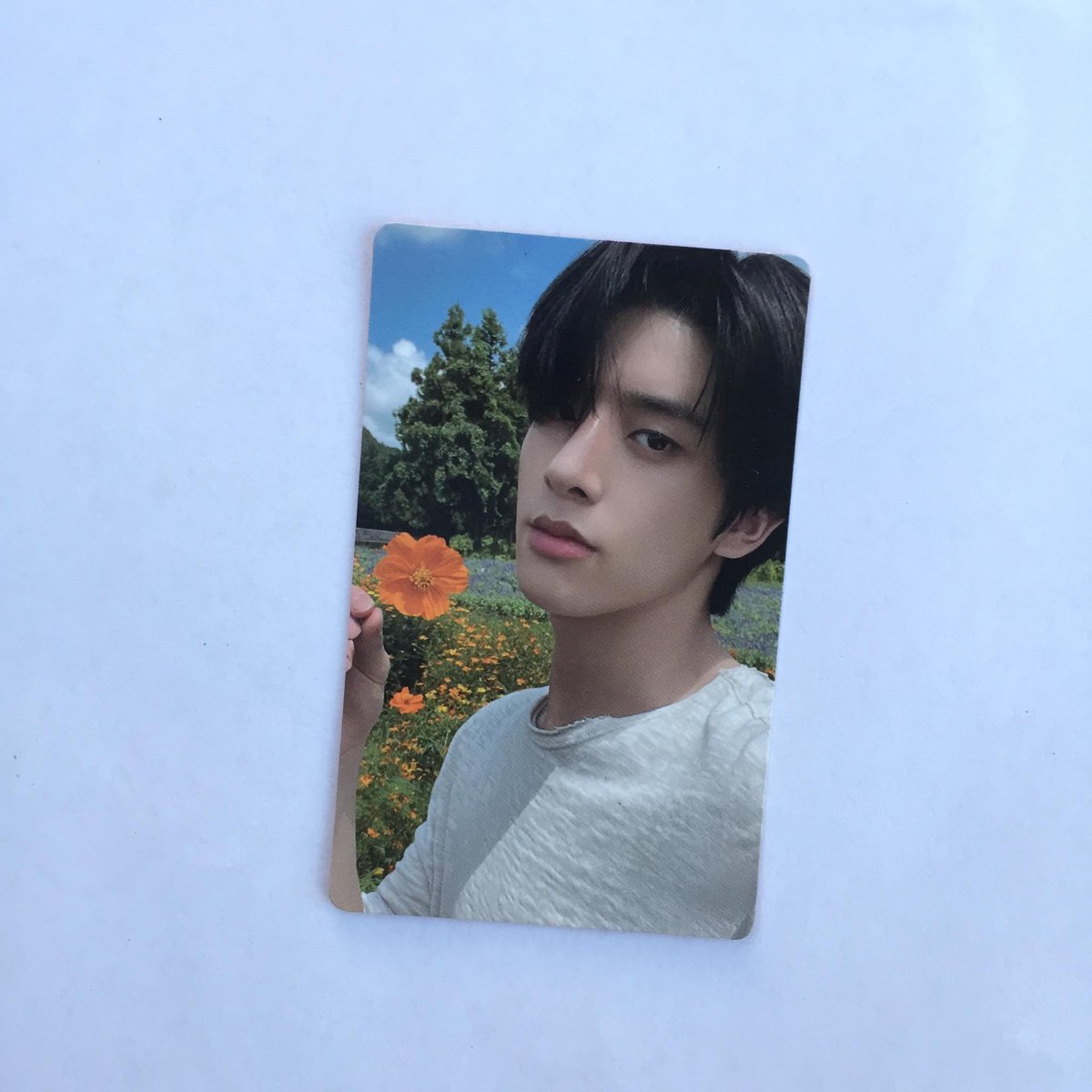 0209collect_'s tweet photo. wts ! lfb!

    # enhypen orange blood weverse ver pc — jake type A &amp; sunghoon type B 
◞♡๑ 150 ea + 0 pf
◞♡๑  onhand
◞♡๑ payo / 2 days reserv
◞♡๑ freshly pulls

dm me or reply mine to claim !

t. wts lfb enhypen orange blood weverse  pc photocard . . . https://t.co/9rjcps0Qwl