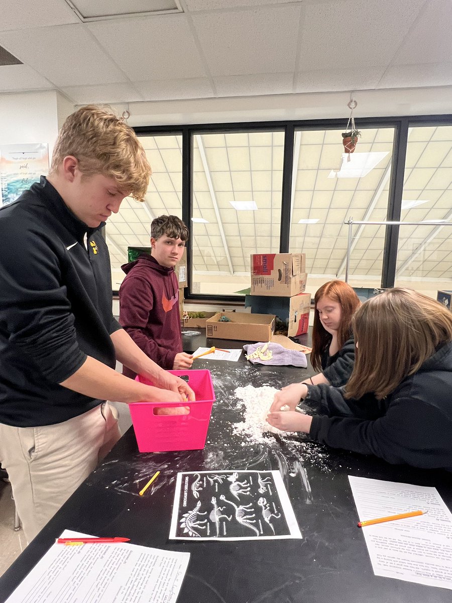 MrsSealsSci's tweet photo. Freshman Biology excavated Dinosaur bones today. Students then had to assemble the skeletons, identify the species and then place them on a cladogram! #weRmilan https://t.co/jOy3e59kKV