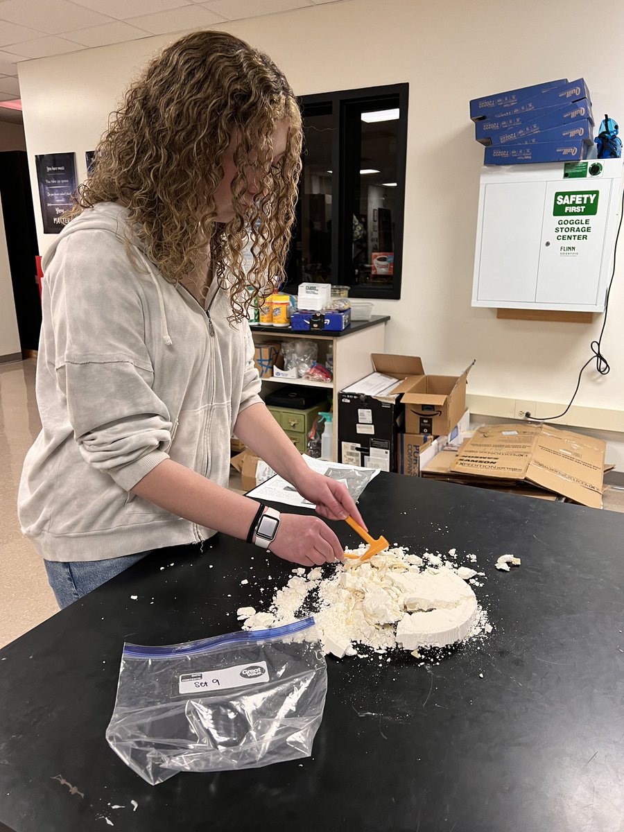 MrsSealsSci's tweet photo. Freshman Biology excavated Dinosaur bones today. Students then had to assemble the skeletons, identify the species and then place them on a cladogram! #weRmilan https://t.co/jOy3e59kKV