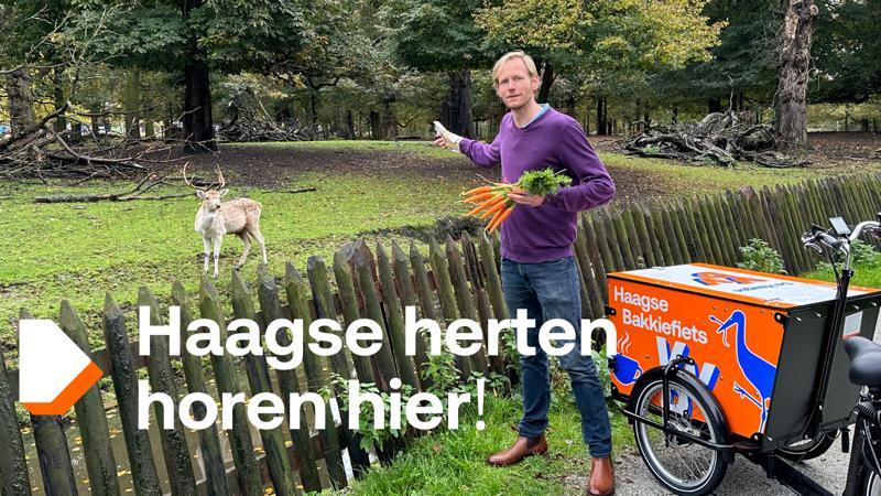 Lucia Nuijts tweet media