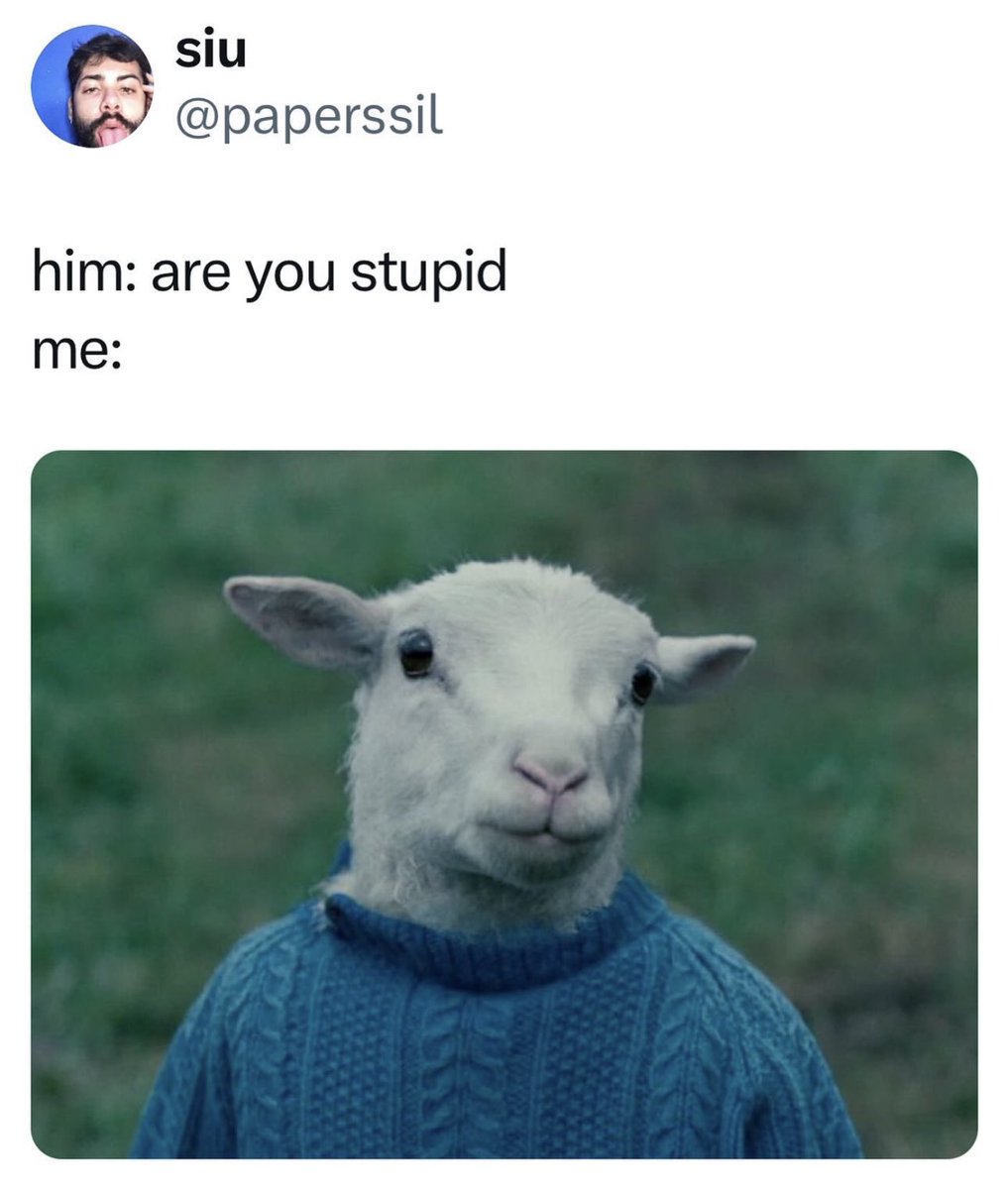 uggsocks's tweet photo. https://t.co/MFLHGr6PUa