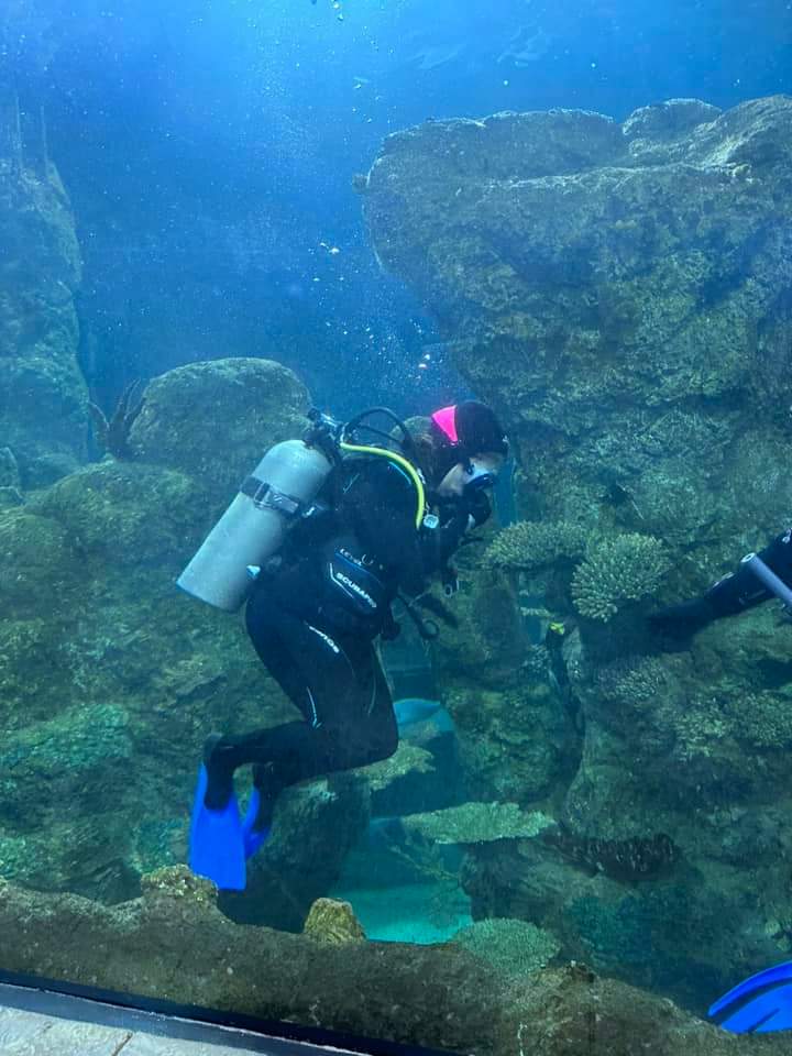 MontclairAnn's tweet photo. Had fun diving at the aquarium! https://t.co/NdITkM9k78