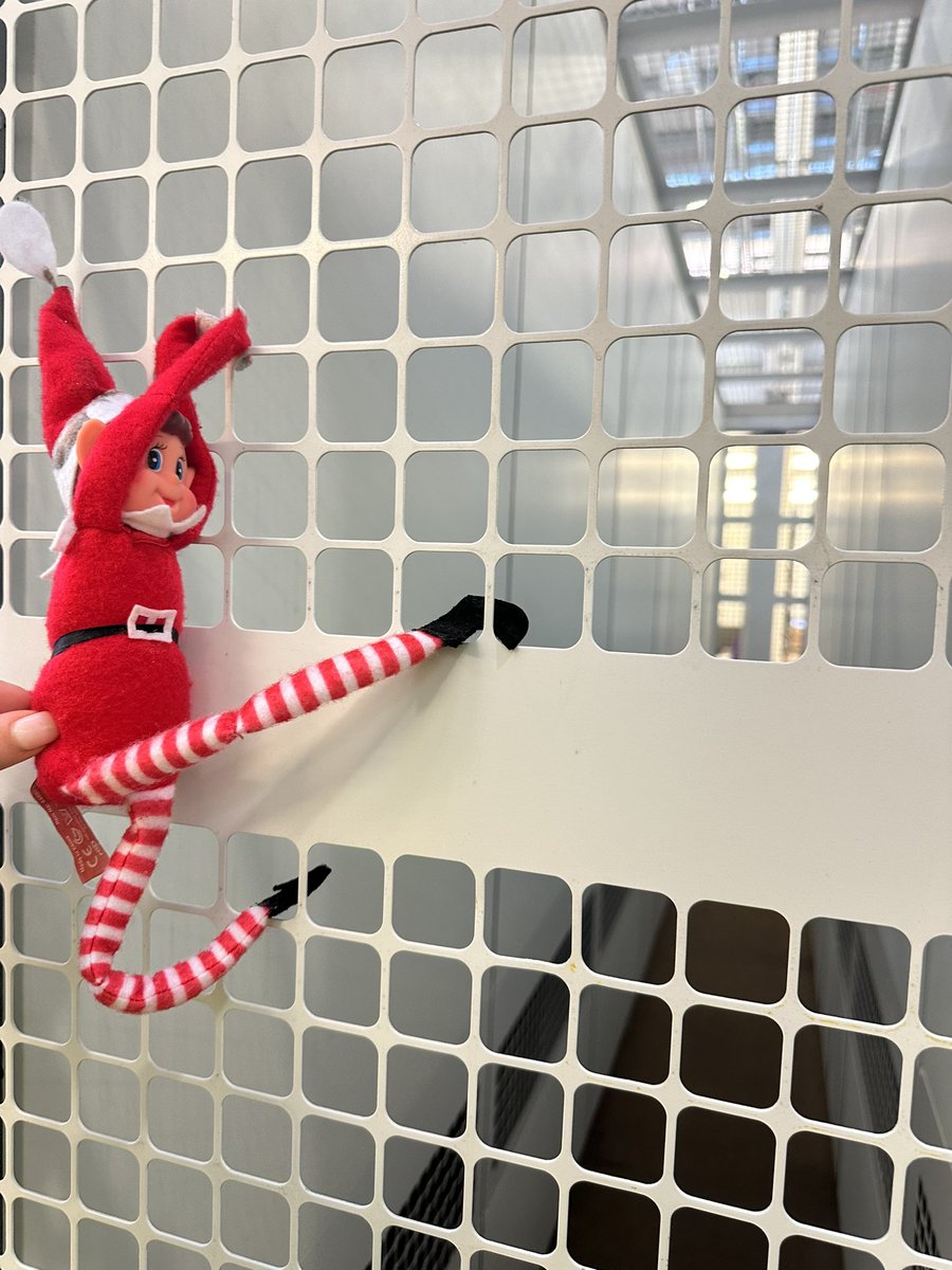 bethanyjagger's tweet photo. Climbing the cages will not get you any core value points little Elfy 
@beckycheets https://t.co/AKy9UqPtA4
