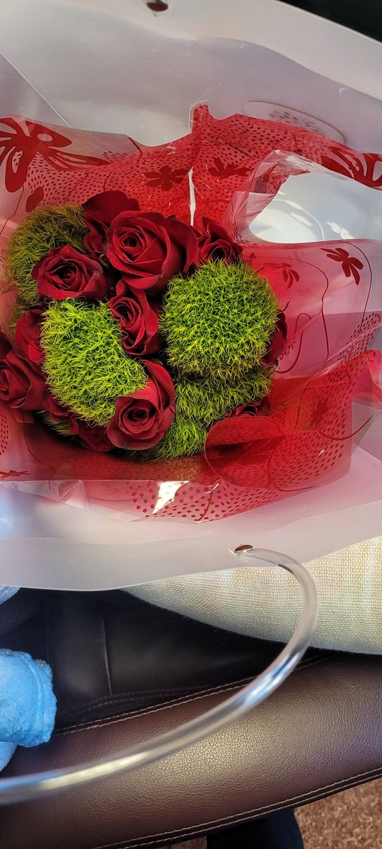 Today's beauties! 🥳🥳