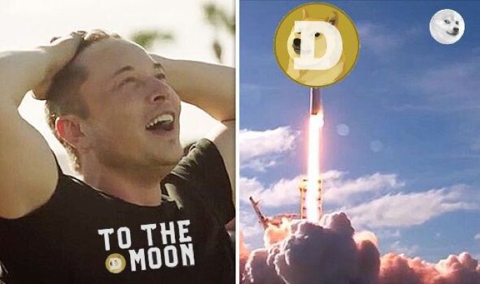 itsALLrisky's tweet photo. Dogecoin to the moon! https://t.co/yyOPZHE4c5