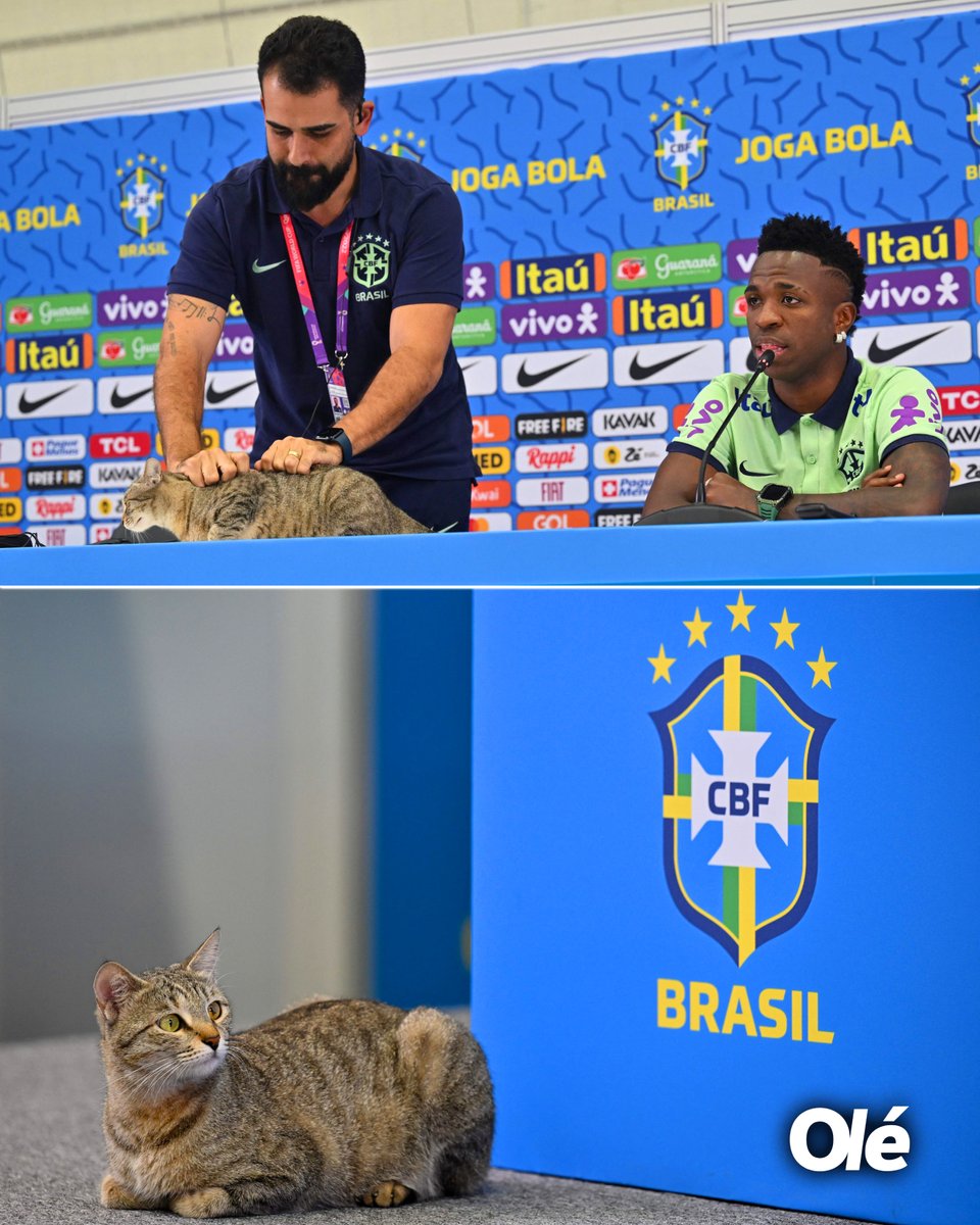 DiarioOle's tweet photo. Un día como hoy, hace un año, en la conferencia previa a los cuartos de final 🇧🇷🆚🇭🇷

Brasil desde ese momento:

❌ Quedó afuera del Mundial ante Croacia
❌ Se quedó sin DT
❌ Perdió su invicto histórico en el Maracaná por Eliminatorias
❌ Perdió 4 de los 7 partidos oficiales que disputó
❌ Está 6° en Eliminatorias
❌ La Justicia destituyó al presidente de la Confederación Brasileña de Fútbol (CBF)