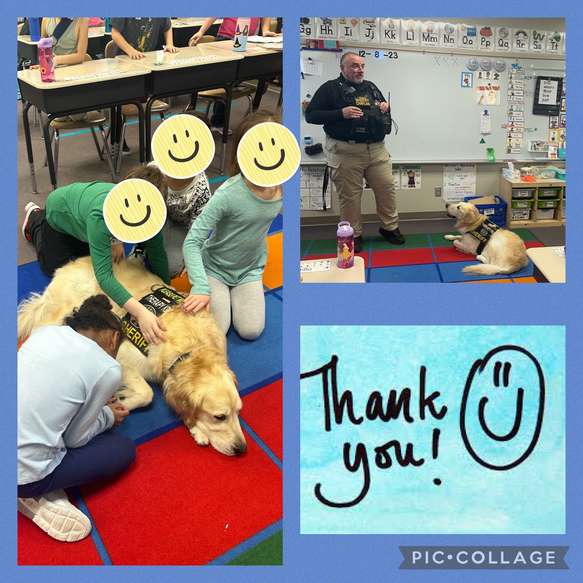 Allie Elsasser tweet media