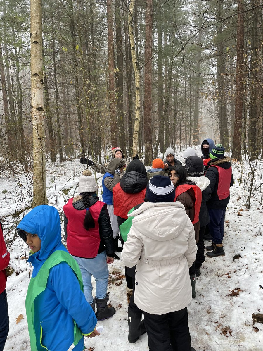 M҉r҉s҉.҉ ҉M҉i҉s҉n҉e҉r҉ tweet media