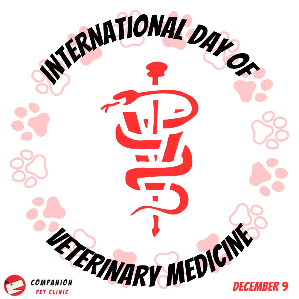 For many, animals are not just pets, they're family. Tomorrow, we celebrate the heroes of these beloved family members with the International Day of #VeterinaryMedicine. Thank you!

#AnimalLoversUnite #ThankYouVeterinarians #CelebratePetHeroes #SupportVeterinaryMedicine
