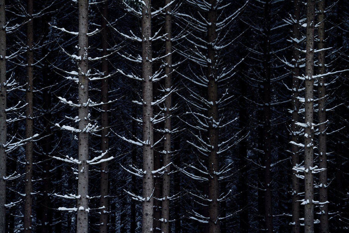 "Should I stay, or should I go" - At the moment, winter doesn't know what to do.

#photography #landscape #landscapephotograpy #nature #naturephotography