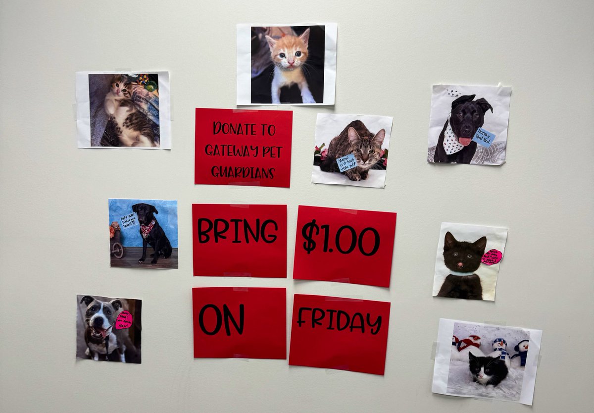 pizza4piazza's tweet photo. McGrath’s GOTR raised over $500 + items donations for @gatewaypets by hosting a $1.00 Dress Up Friday! 

Way to impact your community in such a positive way! @gotrstl @BrentwoodMOSD https://t.co/dyuOXNyFnA