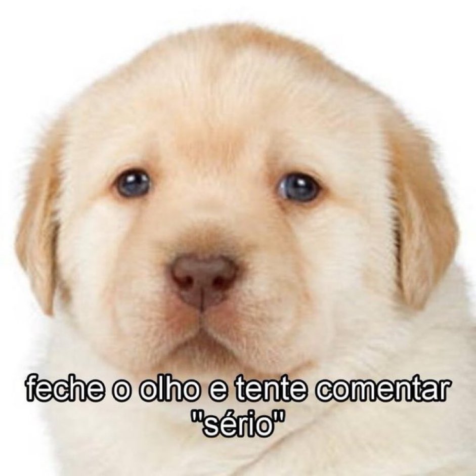 Página Séria. (@apaginaseria) on Twitter photo 