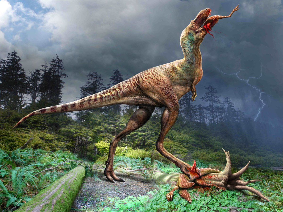 A new study conducted by an international team led by our Dr. François Therrien, published in the journal Science Advances, sheds light on this remarkable discovery. Learn more: royaltyrrellmuseum.wpcomstaging.com/2023/12/08/a-y…