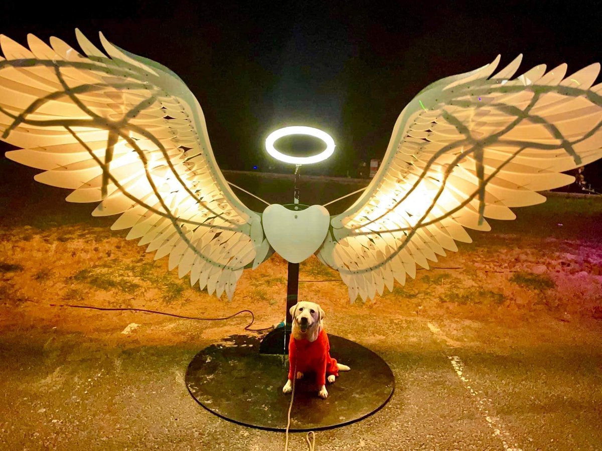BaylightMorecam's tweet photo. #DidYouKnow you can join our extraordinary team for #Baylight2024? 

See all the details in the link: https://t.co/2lMDboNf88

#Baylight #Morecambe #SupportBaylight25 #LightFestival #Volunteers

📷 by Caroline https://t.co/ZFWxb0p2MS
