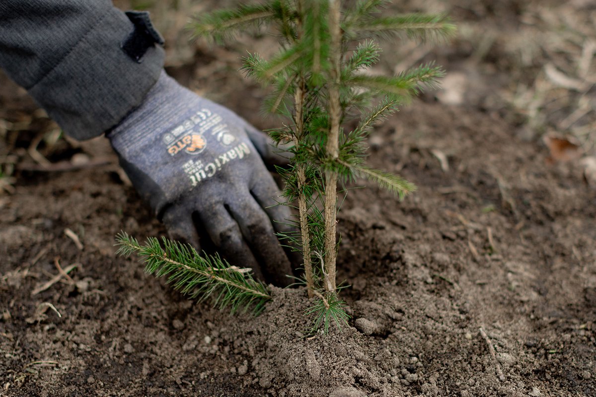 CREDDO_ca's tweet photo. 🌱 Silence, ça pousse!
On a planté une #microforêt avec @ville_gatineau l'autre jour. 600 arbres, 300 arbustes, 16 espèces différentes... ON EST TRÈS FIER(E)S!
Jetez un oeil 👉 https://t.co/rcJDoXzc2e
#verdissementurbain #gatineau #outaouais https://t.co/6f9kbBRKUv