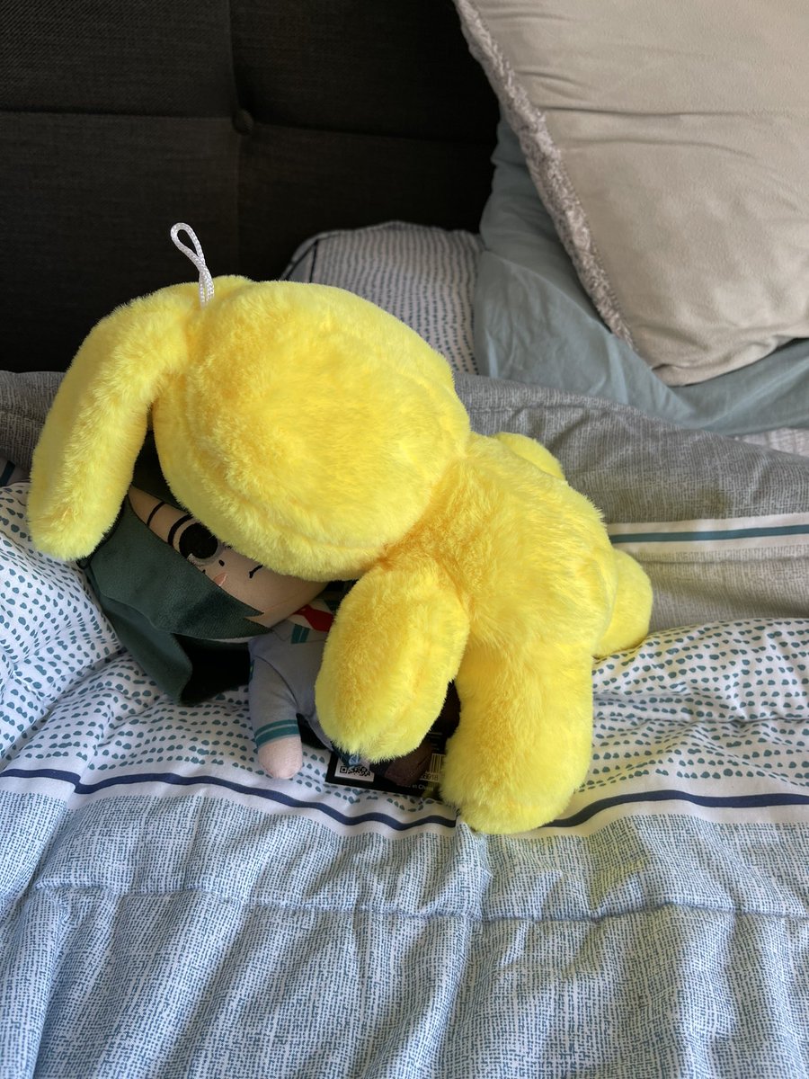 Wisky El Gatito ^w^ tweet media