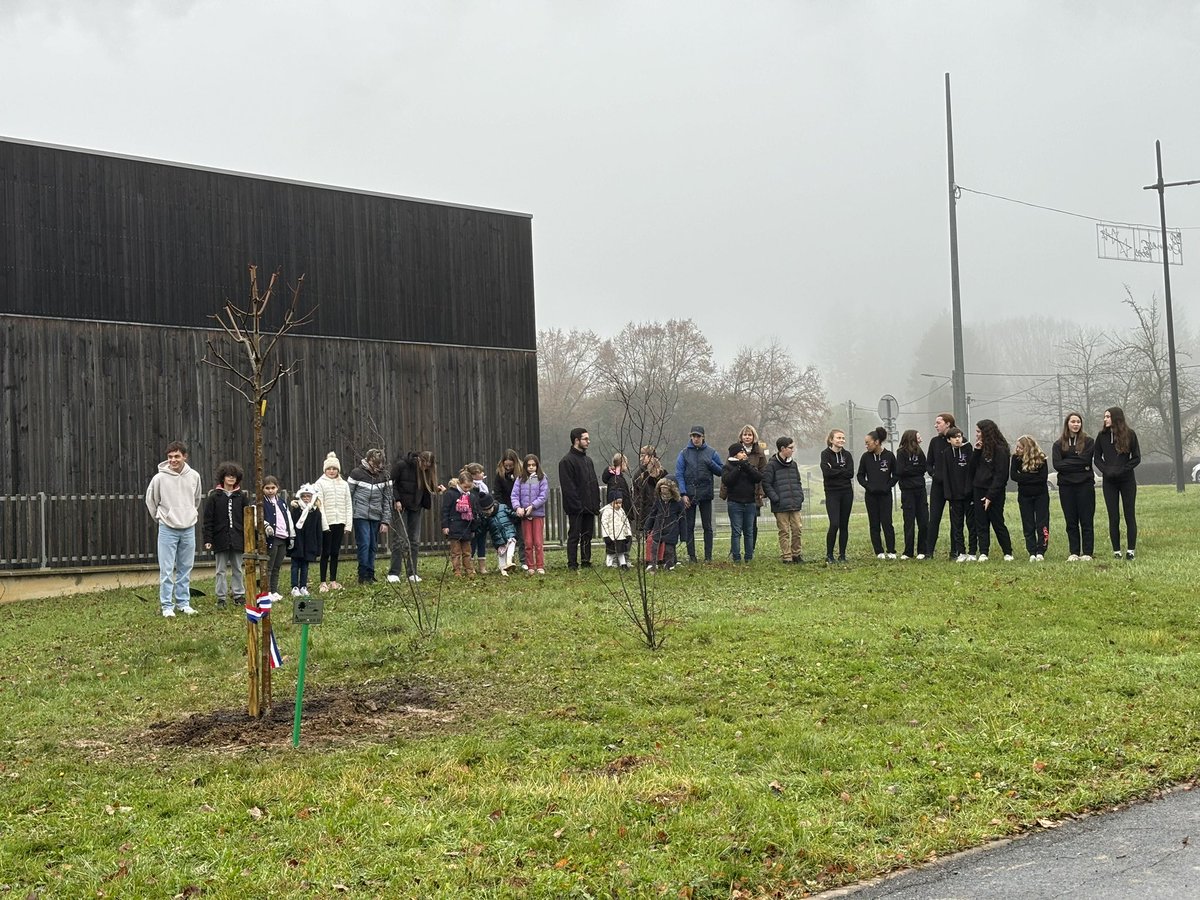 Scarch52's tweet photo. Aujourd'hui, cérémonie de plantation de l'Arbre de la Laïcité à #Wassy avec l'école, le collège, l'EREA et le lycée professionnel. Près 700 personnes (élèves, petits et grands, parents et personnels) réunies pour célébrer les valeurs républicaines... https://t.co/tFoHAciMoX