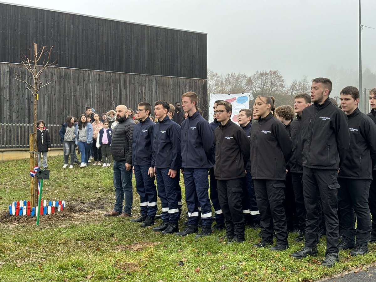 Scarch52's tweet photo. Aujourd'hui, cérémonie de plantation de l'Arbre de la Laïcité à #Wassy avec l'école, le collège, l'EREA et le lycée professionnel. Près 700 personnes (élèves, petits et grands, parents et personnels) réunies pour célébrer les valeurs républicaines... https://t.co/tFoHAciMoX
