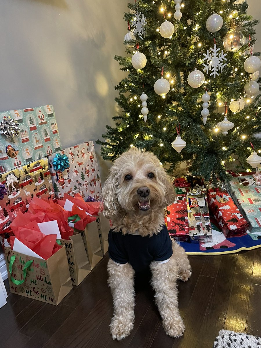 kurisu_gray tweet media