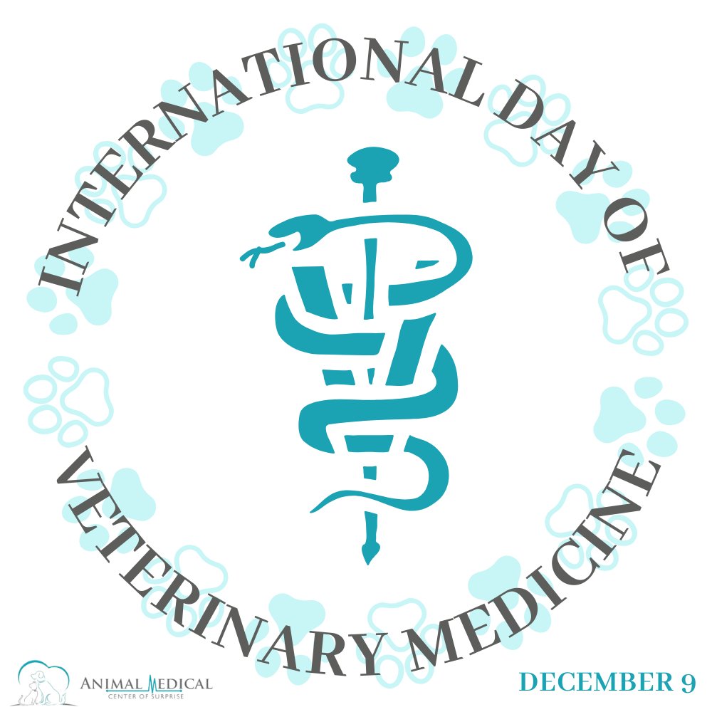 For many, animals are not just pets, they're family. Tomorrow, we celebrate the heroes of these beloved family members with the International Day of #VeterinaryMedicine. Thank you!

#AnimalLoversUnite #ThankYouVeterinarians #CelebratePetHeroes #SupportVeterinaryMedicine