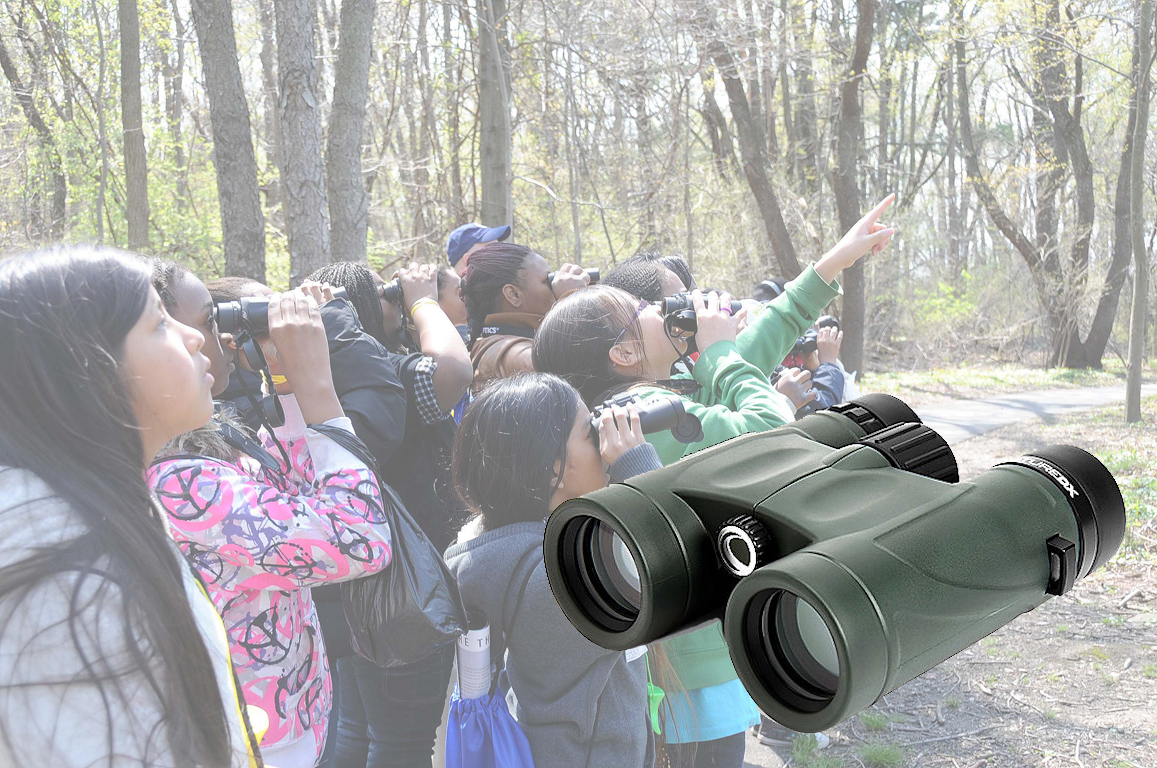 Optics4Birding's tweet photo. Perfect Gift for Kids - Only $149.95

#Celestron Nature DX 8x32 binoculars are inexpensive roof prism #binoculars designed for the beginning nature enthusiast, and our top choice for kids. Shop now https://t.co/oTVMSg9rrM https://t.co/2GIE0IcAzr