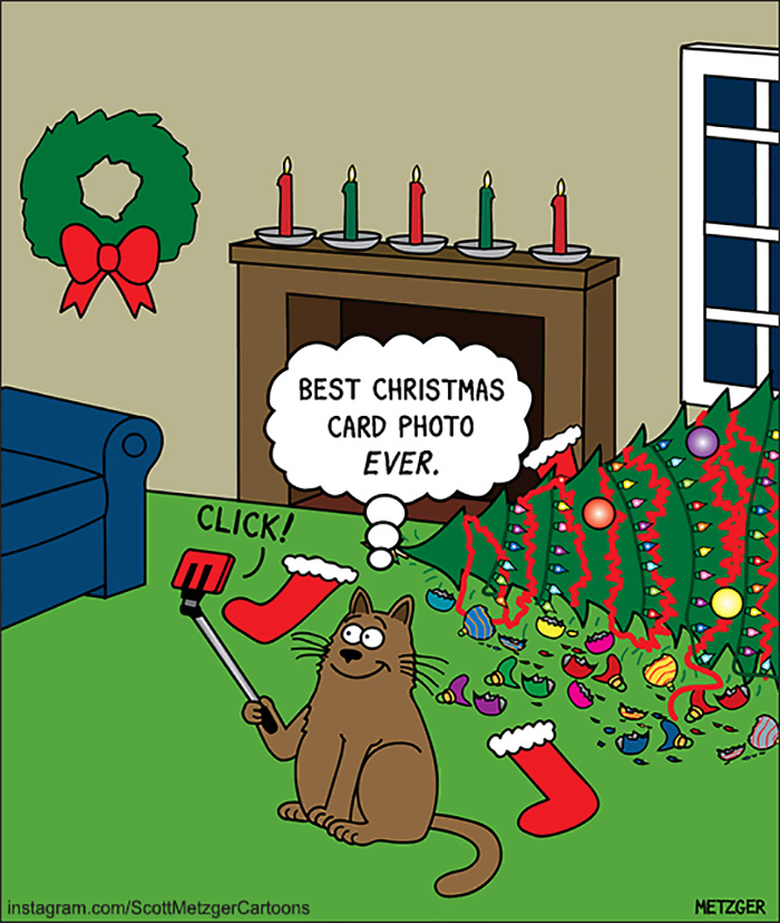 bond_eye_assoc's tweet image. #FridayFunny #ChristmasCards #CrazyCats Tomorrow is Christmas Card Day!