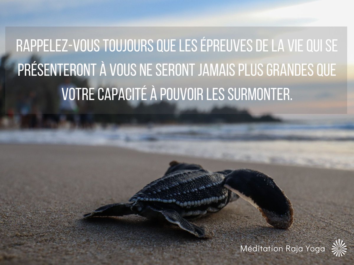 RajaYogaMedit's tweet photo. #penseedujour
#obstacle #epreuve #surmonter #courage
#rajayoga #méditation #paix #bonheur #brahmakumarisfrance #âme #amour
Tous nos programmes: https://t.co/fXJP0vkwgo https://t.co/3EmOrZ8rCA