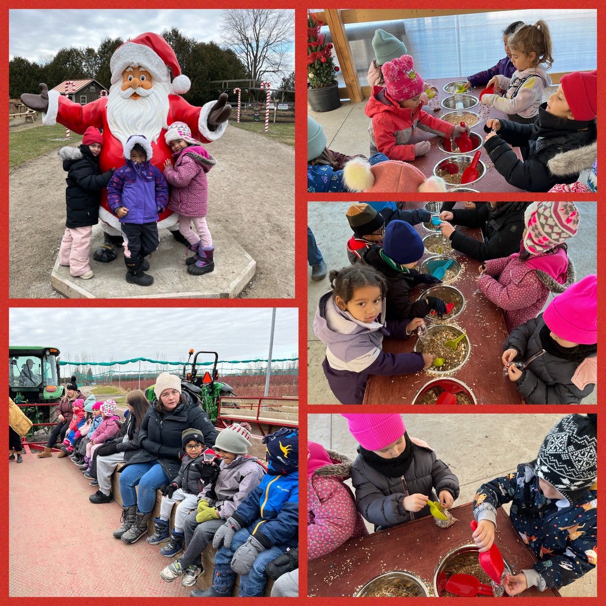 What a fun trip at Kustermans!! We planted our own Christmas trees, made and ate gingerbread cookies, made reindeer food, fed the animals, played and went on a tractor ride! #fieldtrip #kindergarten #christmasseason #funtimes #Kustermans <a href="/KindredKulture/">KindredKulture</a> <a href="/StFrancisLondon/">St. Francis Catholic</a> <a href="/LDCSB/">London District Catholic School Board</a>