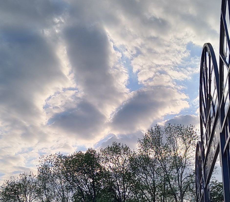 почему оно существует