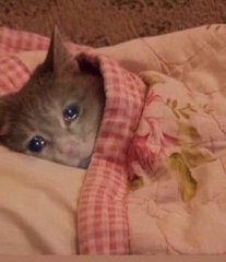 À̸͕X̸̬̌E̴͙͗.̵̼̅E̵͚͊X̷̍͜Ȩ̸̿ tweet media